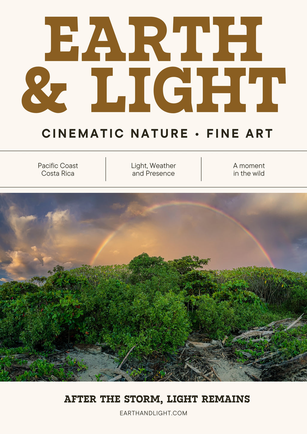 After the Storm, Light Remains