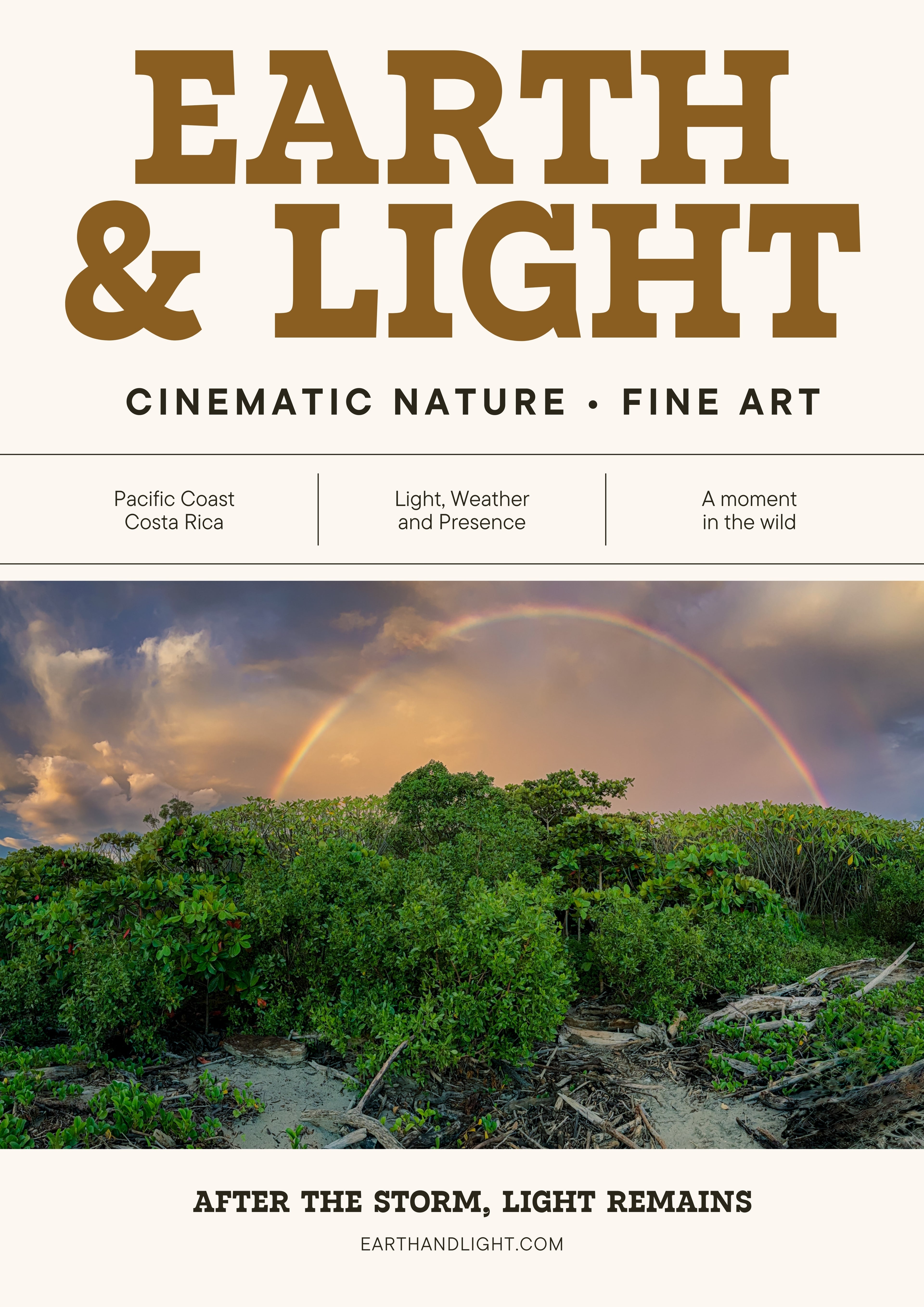 After the Storm, Light Remains